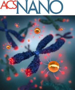 ACS Nano