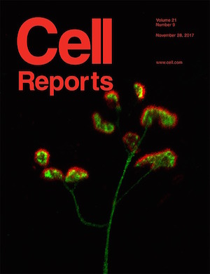 Cell Reports Cover