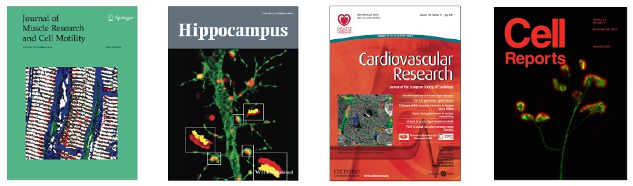Recent Journal Covers